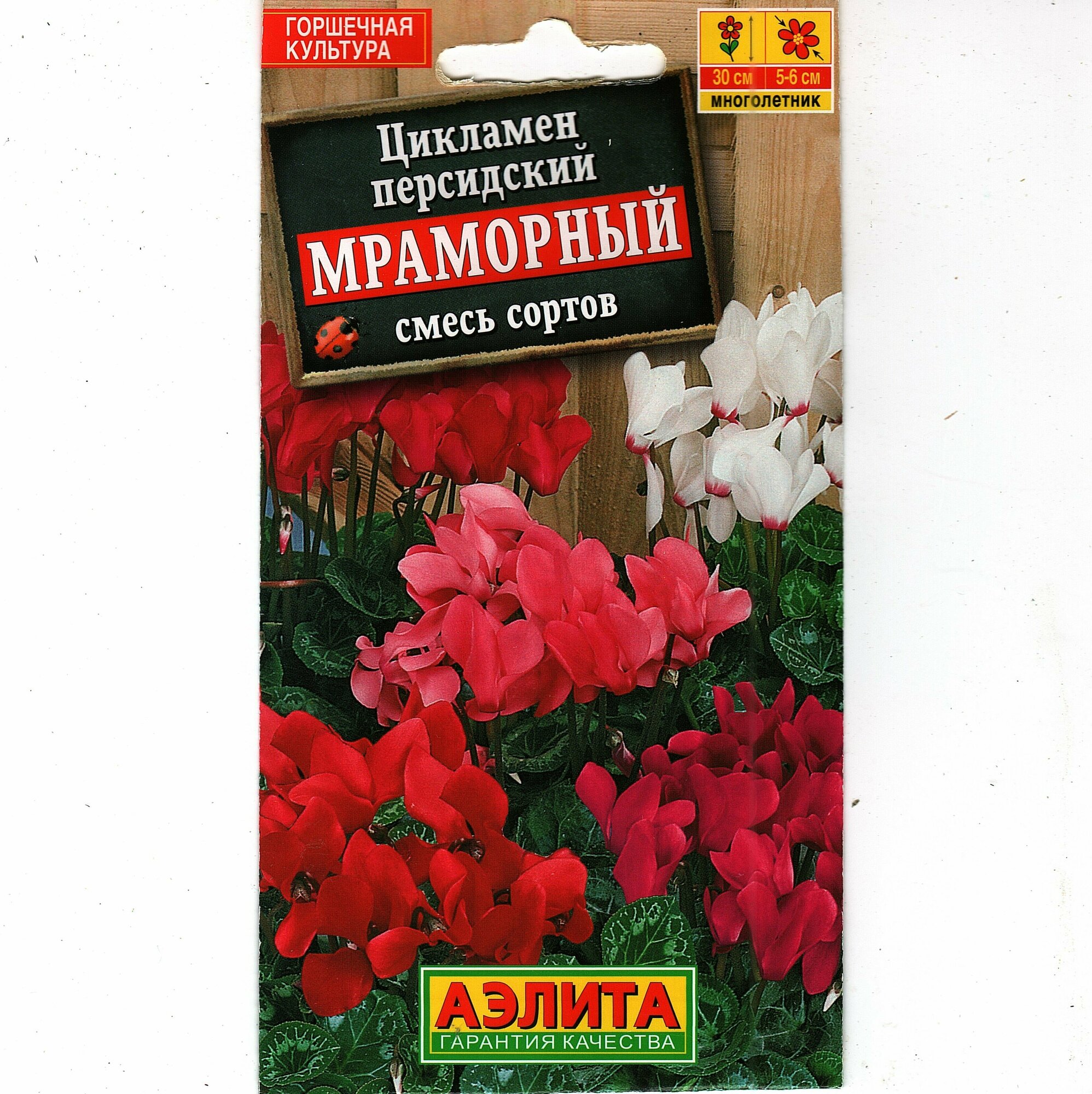 Цикламен персидский мраморный, комнатный многолетник ( 1 уп: 3 семени )