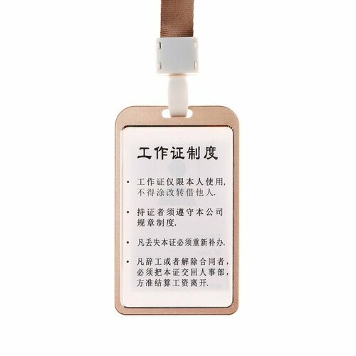 Бейдж-карман вертикальный внешний 98 х 58мм внутренний 85 х 54мм металл золотой лента 40см 652₽