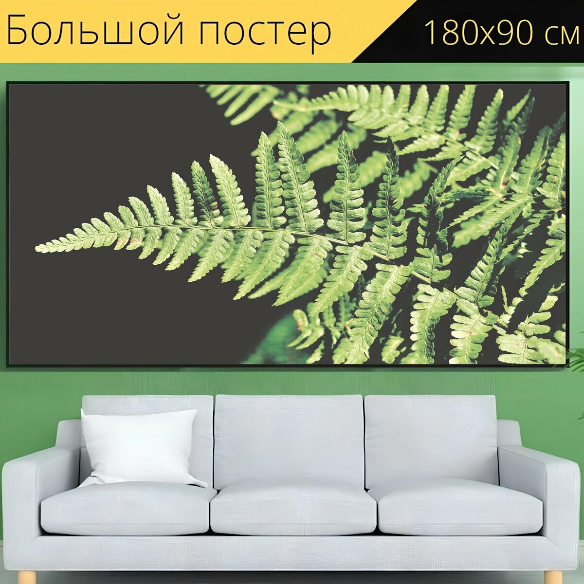 Большой постер "Папоротник, листья папоротника, растение папоротник" 180 x 90 см. для интерьера
