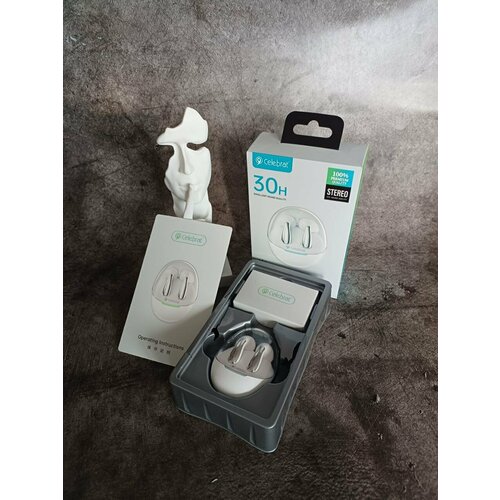 Беспроводные наушники Celetbrat W51 1080₽