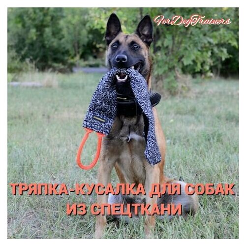 Тряпка для дрессировки собак