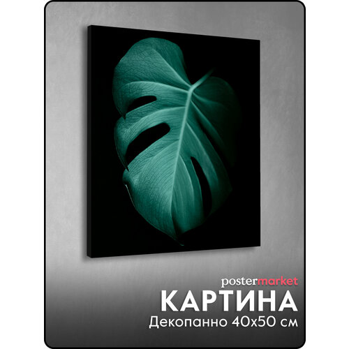 Картина декоративное панно Postermarket Лист монстеры 40х50 см