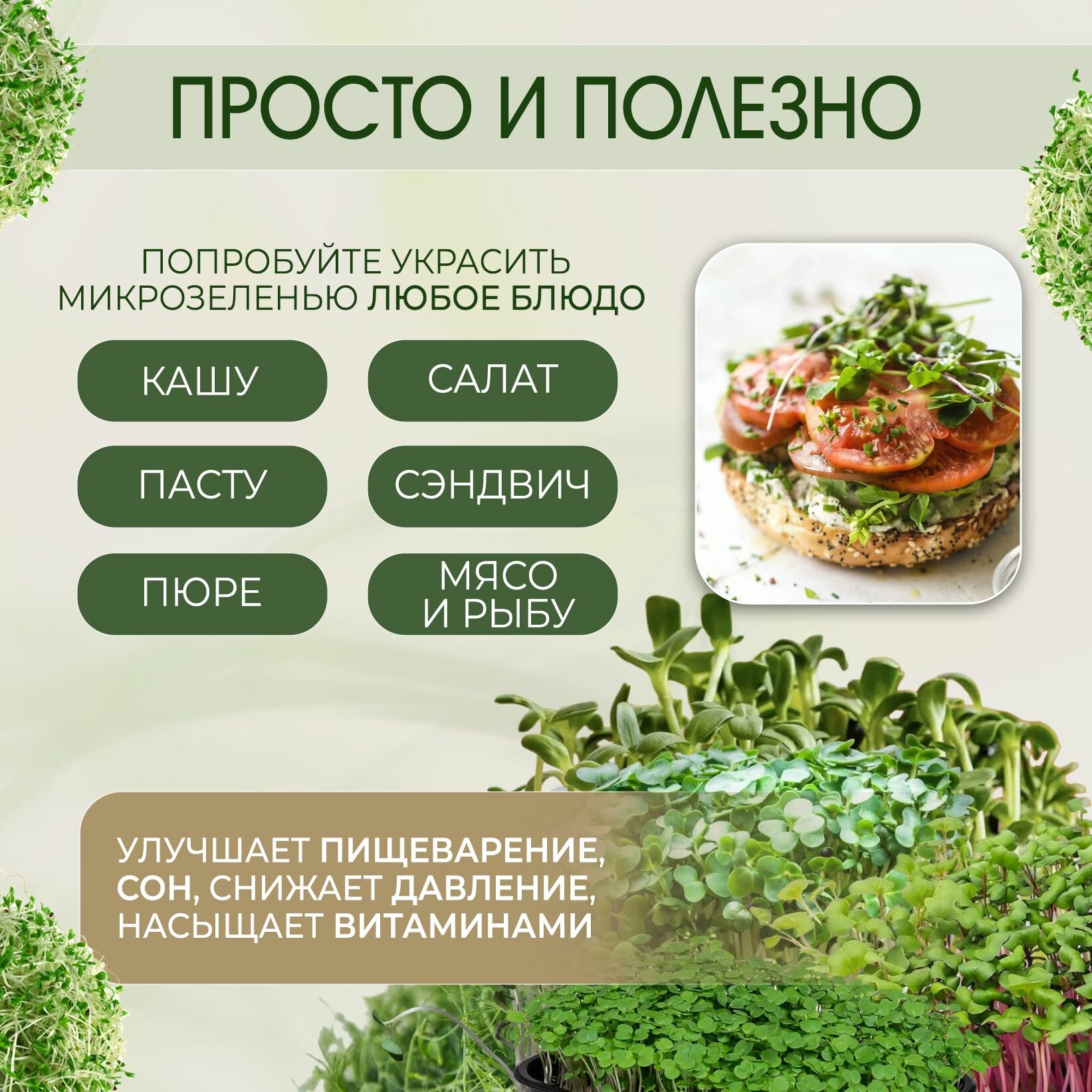 Набор для выращивания микрозелени, 5 урожаев: Горох, Подсолнечник, Редис, Рукола, Кресс салат — фото 1