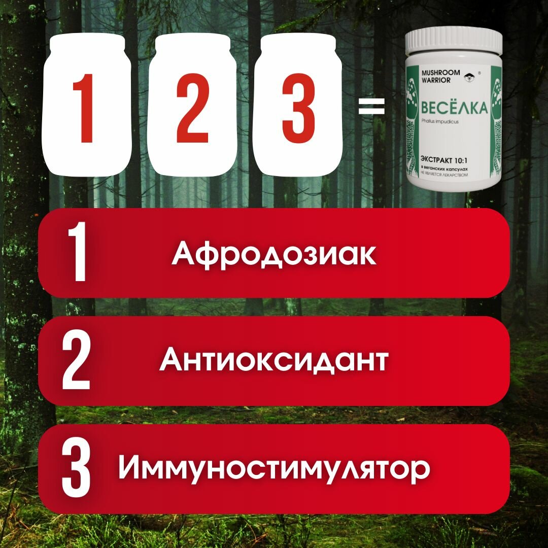Веселка дробный экстракт 10:1 60 капсул, натуральный афродизиак, Mushroom Warrior, комплексная пищевая добавка — фото 1