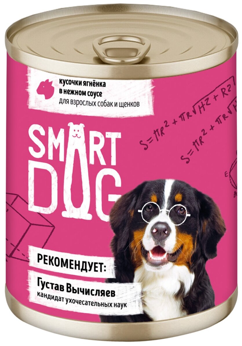 Smart Dog консервы Консервы для взрослых собак и щенков кусочки ягненка в нежном соусе 22ел16 43736 0,85 кг 43736 (10 шт)