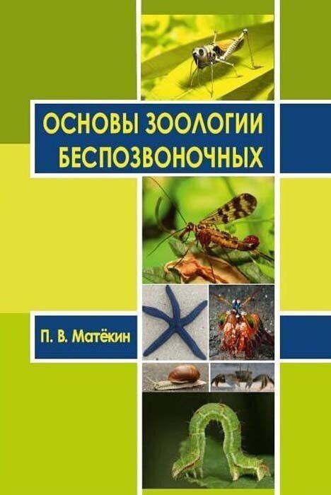 Матекин П. В. Основы зоологии беспозвоночных : учебное пособие