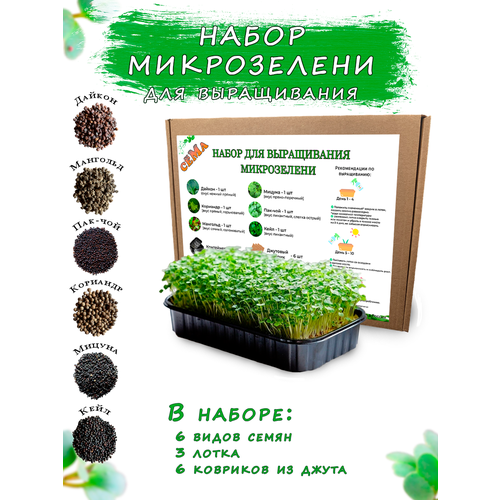 Набор микрозелени для выращивания Люкс 6 культур
