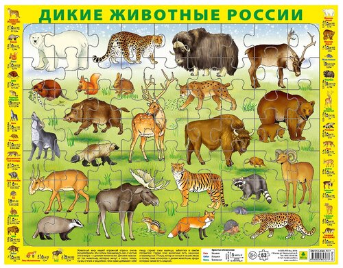 Пазл РУЗ Ко Дикие животные России, на подложке (36х28 см), 63 дет., разноцветный