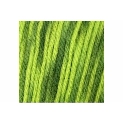 Пряжа Color City Венецианская осень принт зеленый меланж (925), 85%мериносовая шерсть/15%акрил, 230м, 100г, 1шт