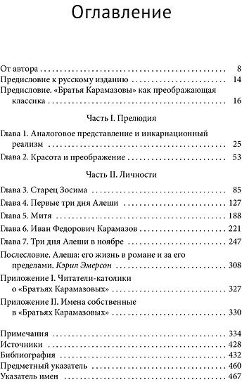 Инкарнационный реализм Достоевского. В поисках Христа в Карамазовых - фото №4