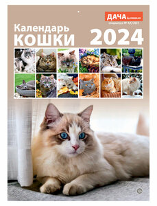 Календарь настенный перекидной на 2024 год (21 см* 29 см). Кошки.