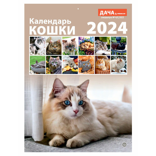 Календарь настенный перекидной на 2024 год (21 см* 29 см). Кошки. православный календарь 2024 спас вседержитель