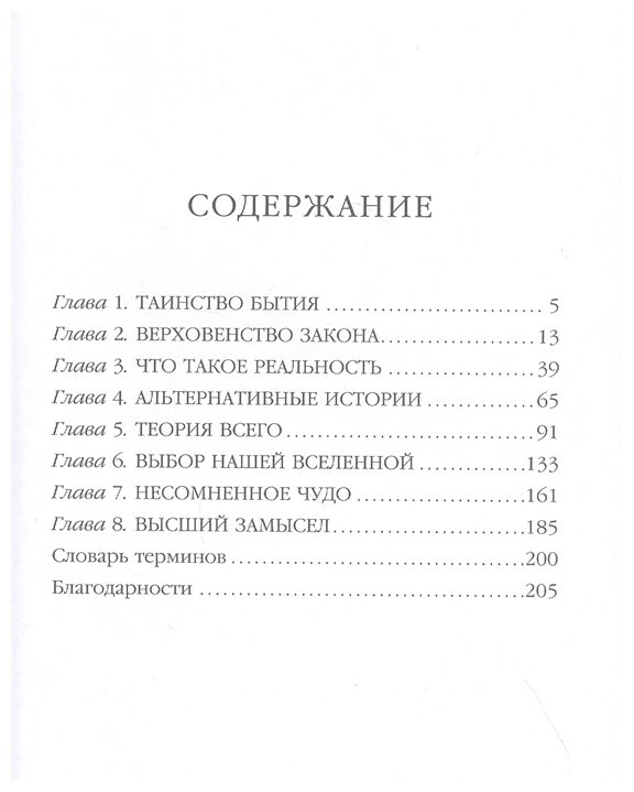 Высший замысел. Новый перевод (Хокинг Стивен, Млодинов Леонард) - фото №2