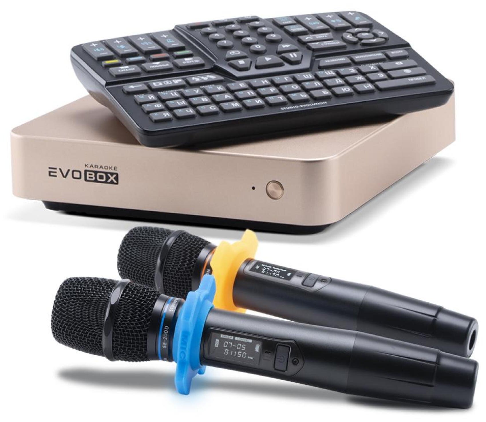 Комплект караоке EvoBase Gold (Evobox и микрофоны)