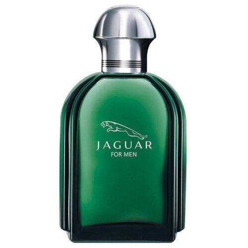 Jaguar For Men Туалетная вода 100 мл. (зеленый)