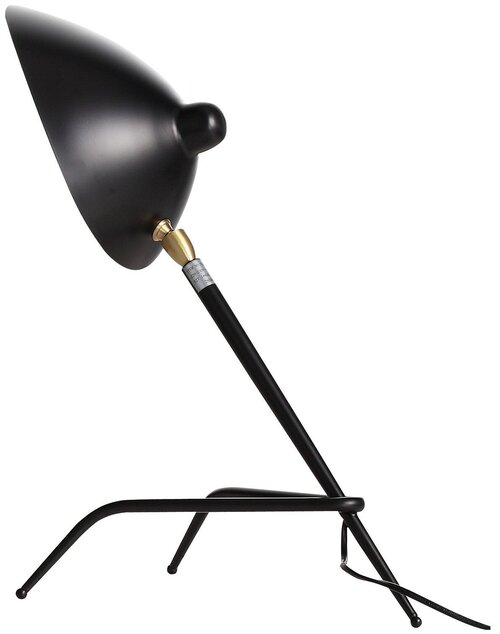 Лампа декоративная ST Luce Spruzzo SL305.404.01, E27, 40 Вт, черный