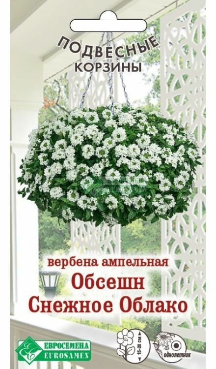 Вербена ампельная обсешн Снежное Облако /3 семяни х 1 упаковка/ Евросемена/Серия Подвесные корзины