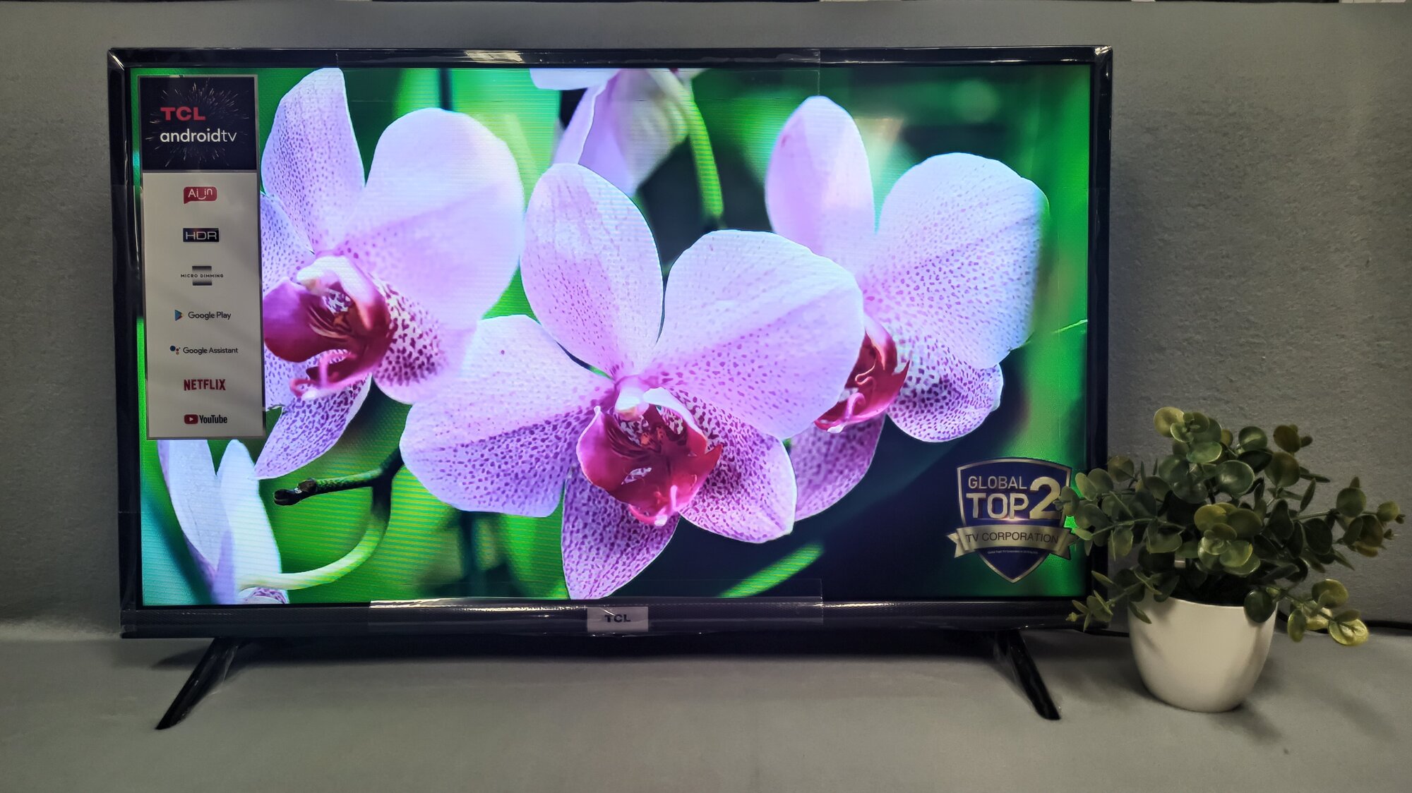 Телевизор TCL , HD READY - фото №15