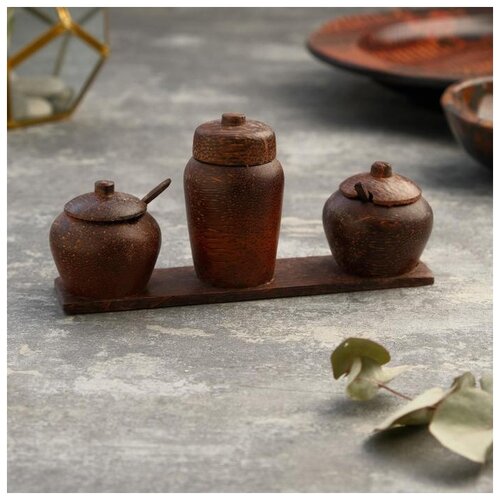 фото Набор для специй из кокоса "виктори" 19х5х9 см 5013640 сима-ленд