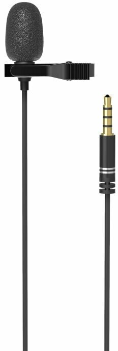 Микрофон RITMIX RCM-110 Black, петличный, всенапр, кабель 2м, Jack 3.5, 1595993