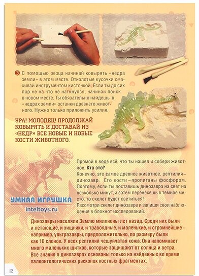 Набор для опытов Твои эксперименты "Загадки природы", 6 мини-наборов МАЭСТРО - фото №8