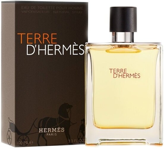 Hermes Terre D'Hermes pour homme Туалетная вода 100мл