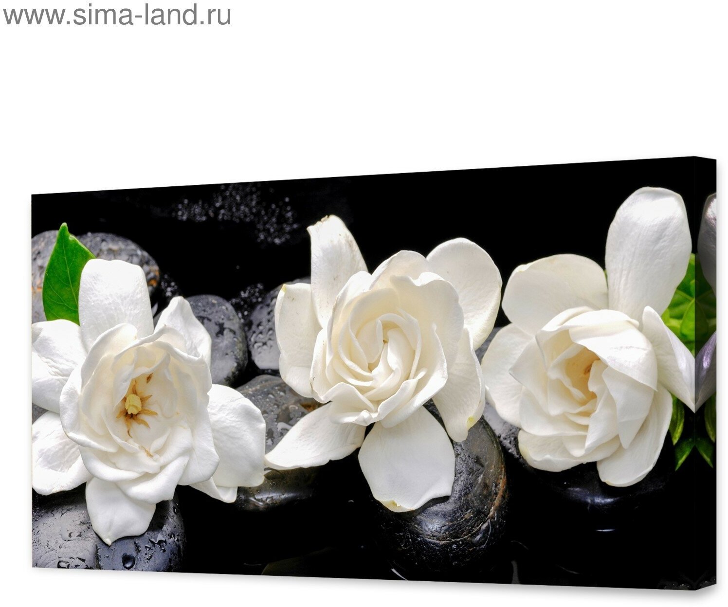 Картина на холсте "Белые цветы" 50х100 см