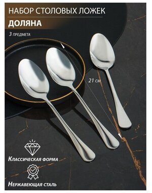 Набор ложек столовых из нержавеющей стали Доляна, h=21 см, толщина 2,2 мм, 410 сталь, 3 шт