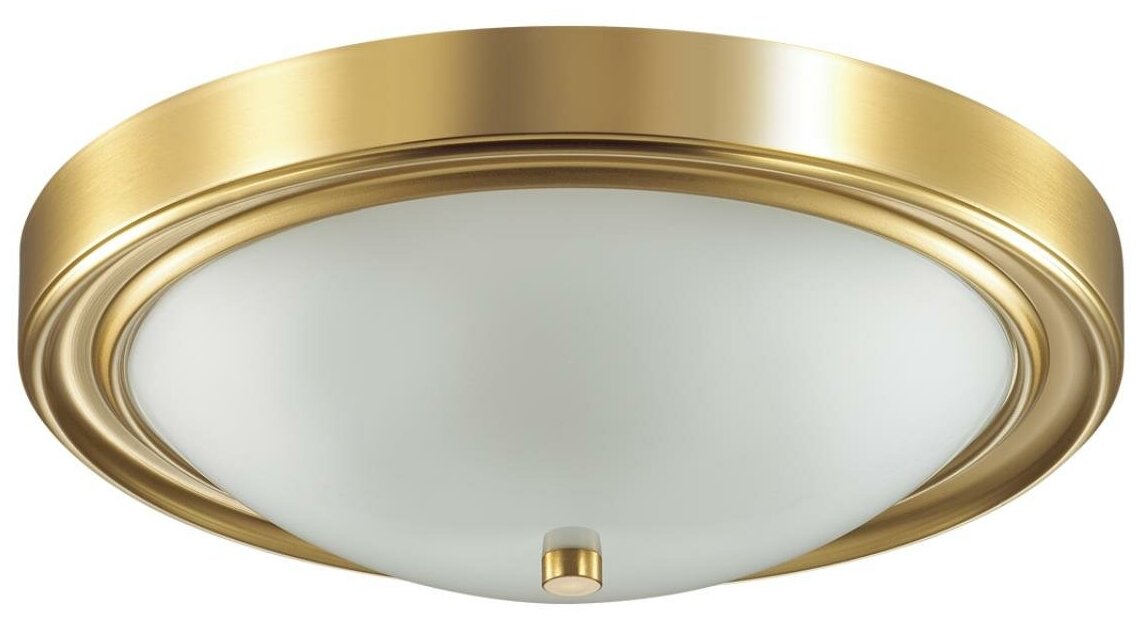 Настенно-потолочный светильник Lumion Vintage 5259/3C