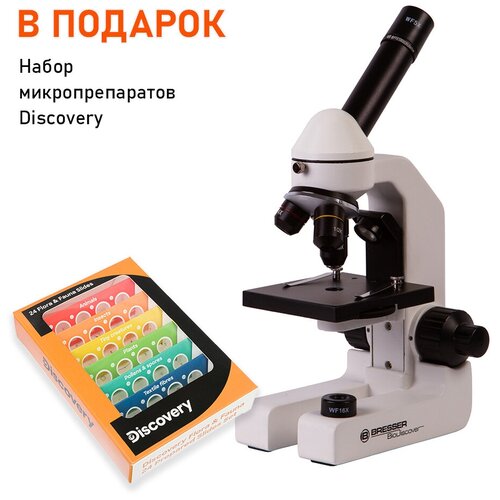 Микроскоп Bresser BioDiscover 20.1280x + набор микропрепаратов