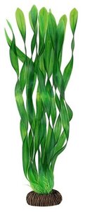Растение Laguna "Валлиснерия" зеленая, 350мм
