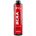 BCAA Sport Technology Nutrition BCAA + L-Carnitine - изображение