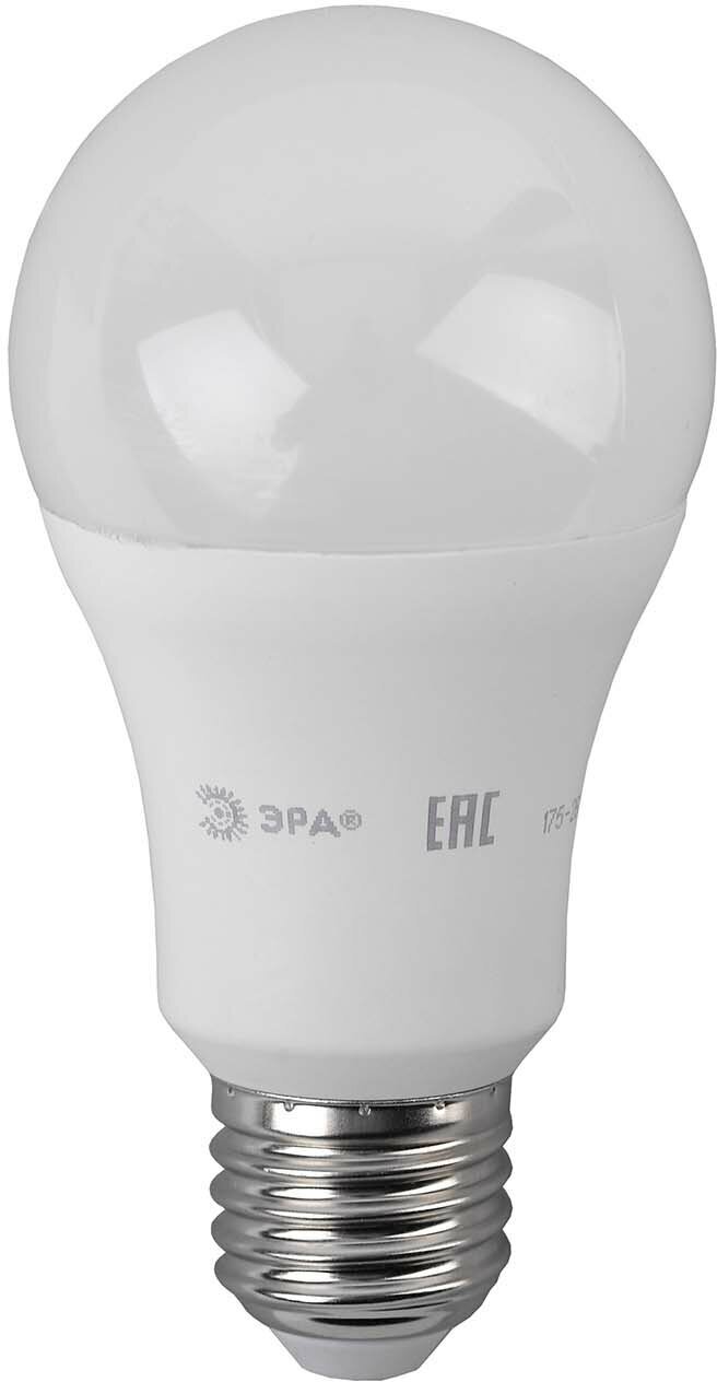 Лампа LED ЭРА LED A60-17W-840-E27