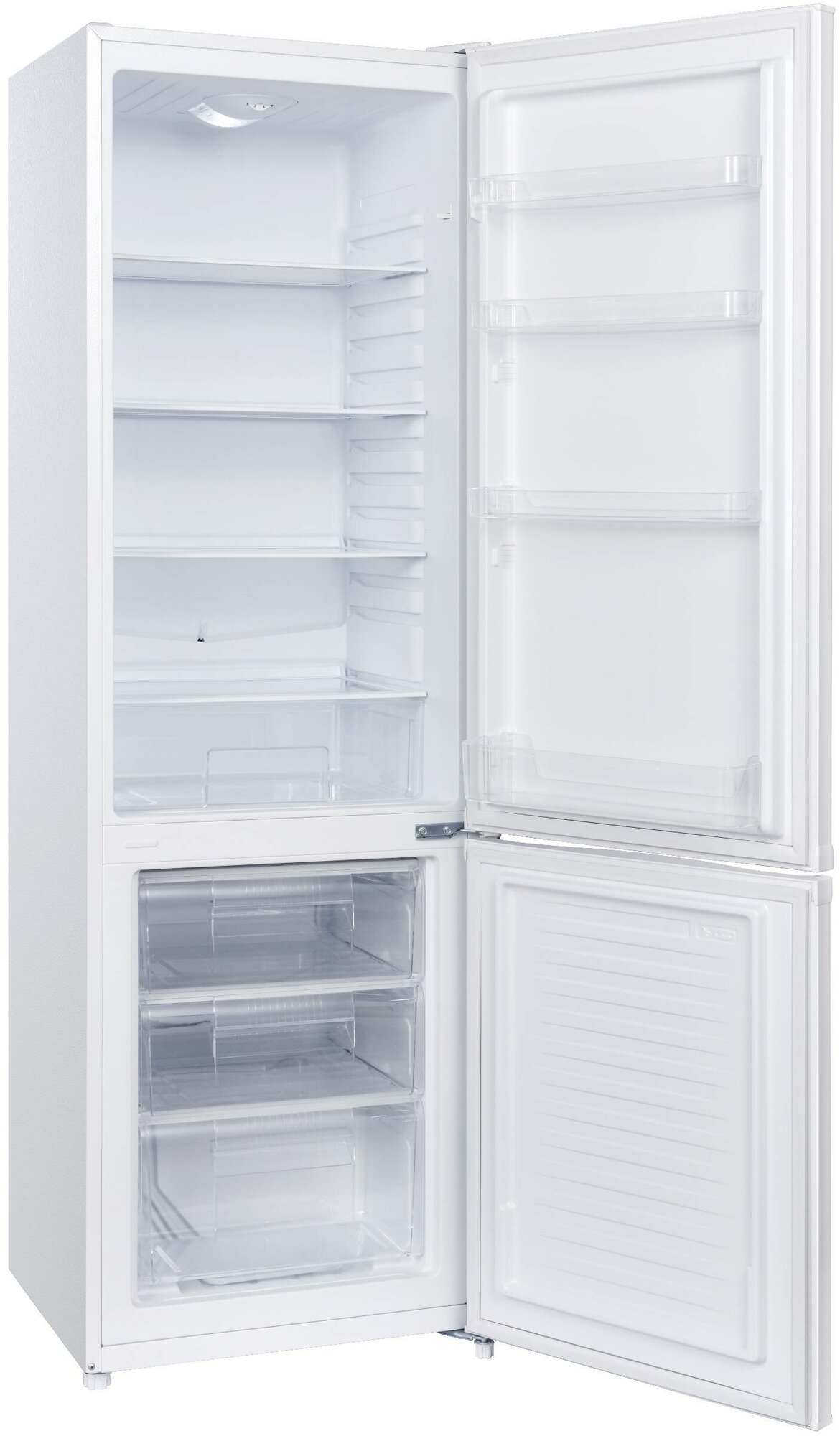 Холодильник с морозильной камерой Evelux FS 2220 W - фотография № 4