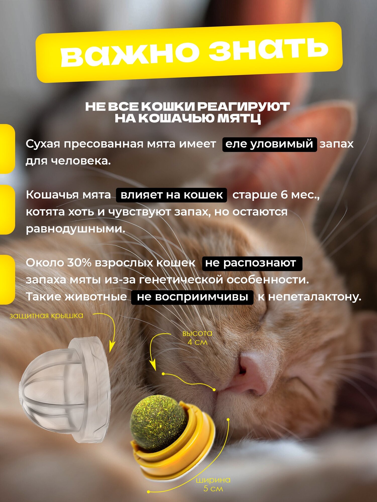 Лизун для кошек / Конфета для кошки / Лакомство для котят 360 градусов