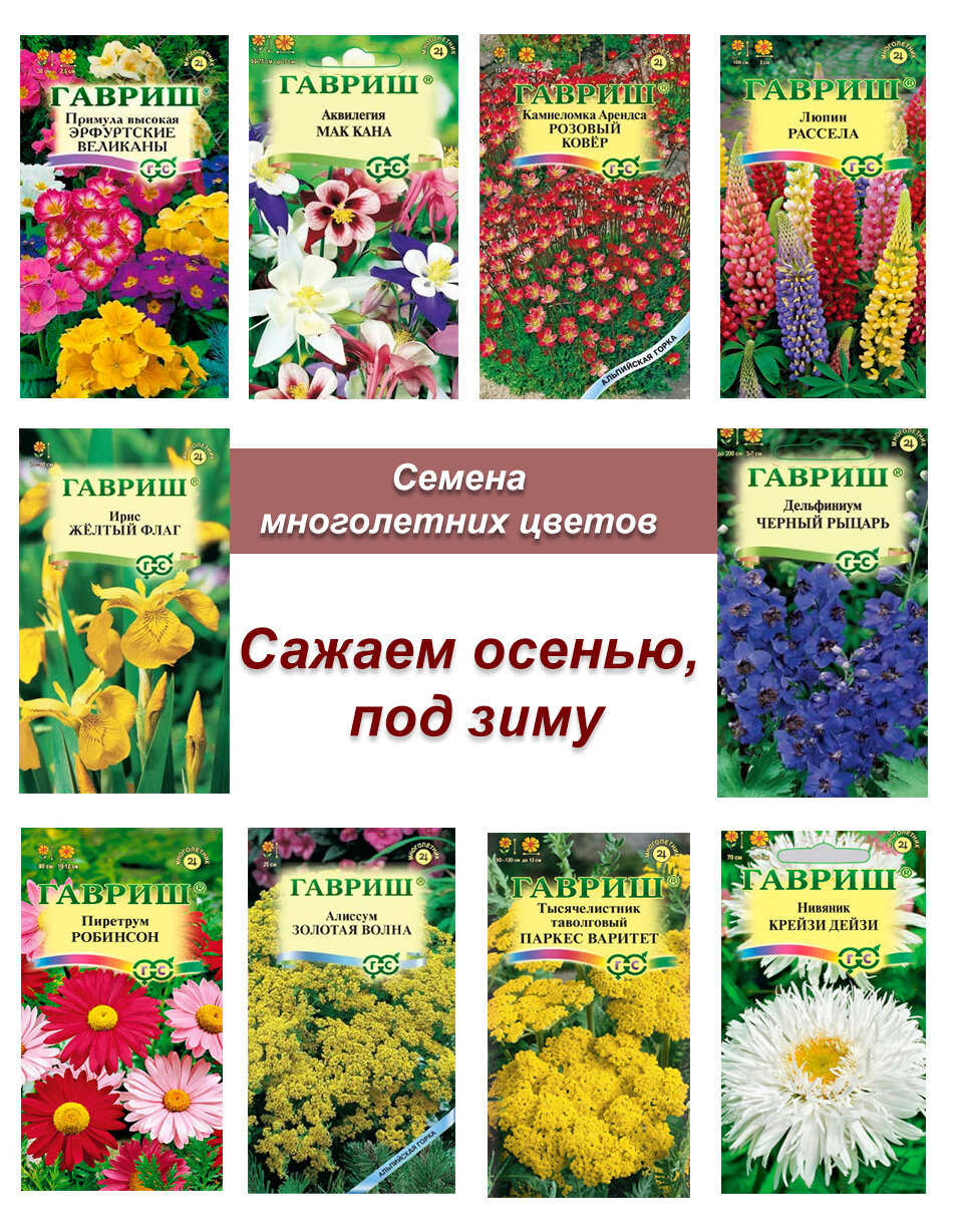 Семена многолетников, набор семян многолетних цветов