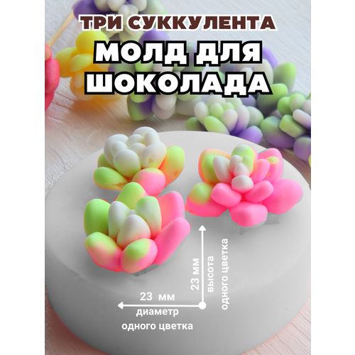 Молд силиконовый для шоколада и мыла Три суккулента