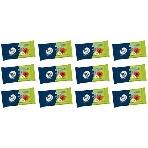 Emily Style Влажные салфетки Луговые цветы, универсальные, 15 шт, 12 упаковок/