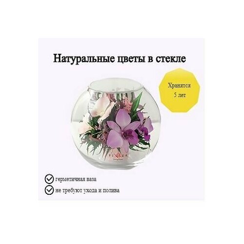 Композиция из натуральных цветов в стекле Fiora 15x165 см 12650₽