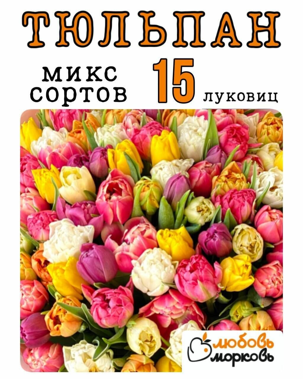 Тюльпан Луковица Микс сортов 15 шт (Любовь морковь)