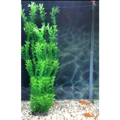 Аквариумное искусственное растение 50 см 560₽