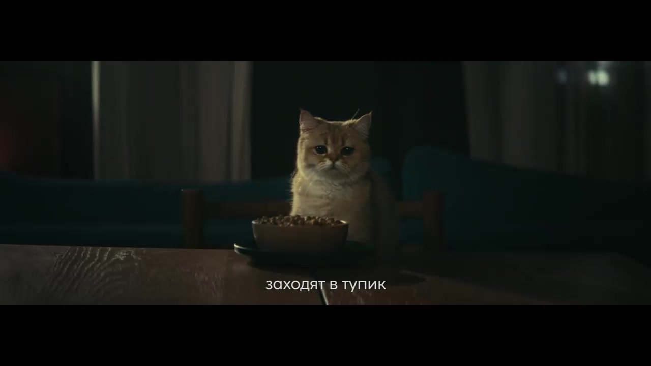 FLORIDA Паучи для кастрированных и склонных к ожирению кошек: кусочки с индейкой в соусе, 12 шт по 85 г Влажный корм — фото 1