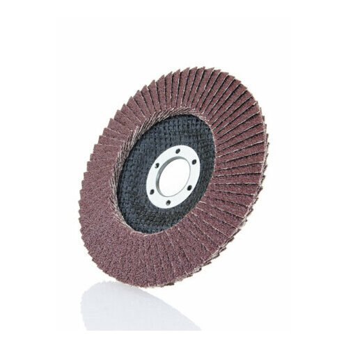 БАЗ KK10XWP6012522 Круг лепестковый торцевой КЛТ1 125х22 KK10XW P60 102₽