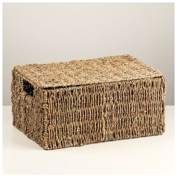 фото Корзина с крышкой Sima-land 39х25х18 см, водоросли