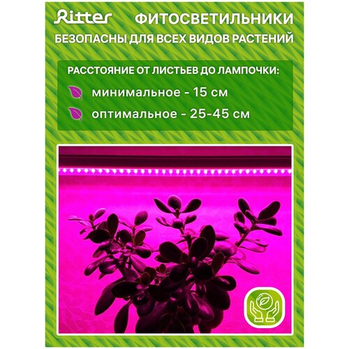 фитосветильник линейный светодиодный т5 ritter planta 56296 2 10вт 572мм провод 2м с выключателем на корпусе цвет белый Светильник Ritter для роста растений Т5 10Вт провод с вилкой 2м с прищепкой 572мм 56304 4