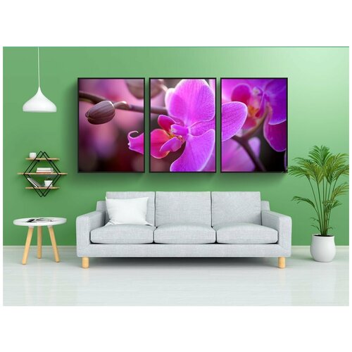 фото Набор модулных постеров для интерьера "орхидея, цветок, цвести" 60x90 см. в тубусе, без рамки lotsprints