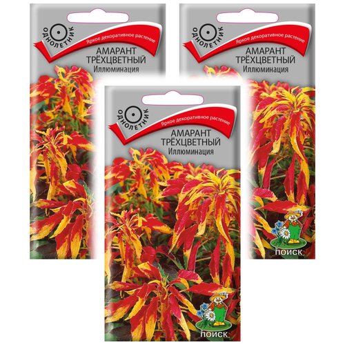 Комплект семян Амарант трехцветный Иллюминация однолет. х 3 шт. искусственное растение декоративно лиственное 12x12 см разноцветный пвх