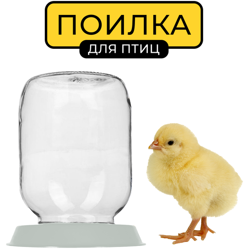 Поилка для птиц Yoma Home, вакуумная, под стеклянную банку, для животных, для цыплят, пластиковая, серая