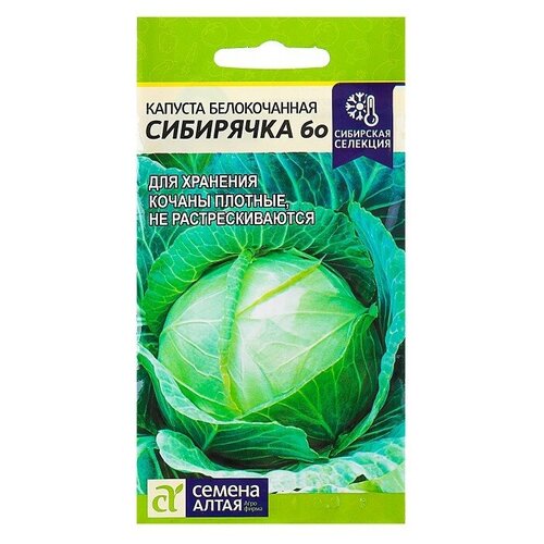 Семена Капуста Сибирячка 60, цп, 0,5 г семена капуста сибирячка 60 цп 0 5 г