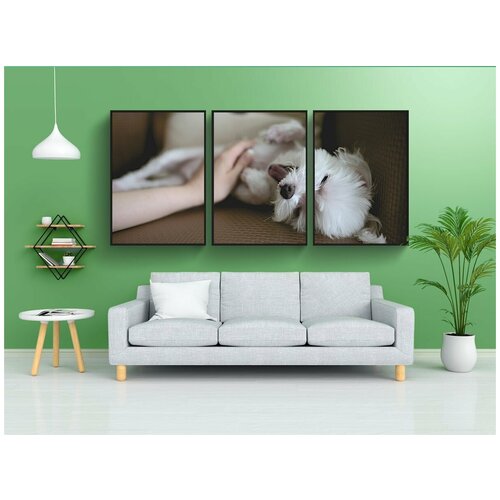 фото Набор модулных постеров для интерьера "собака, домашний питомец, животное" 60x90 см. в тубусе, без рамки lotsprints